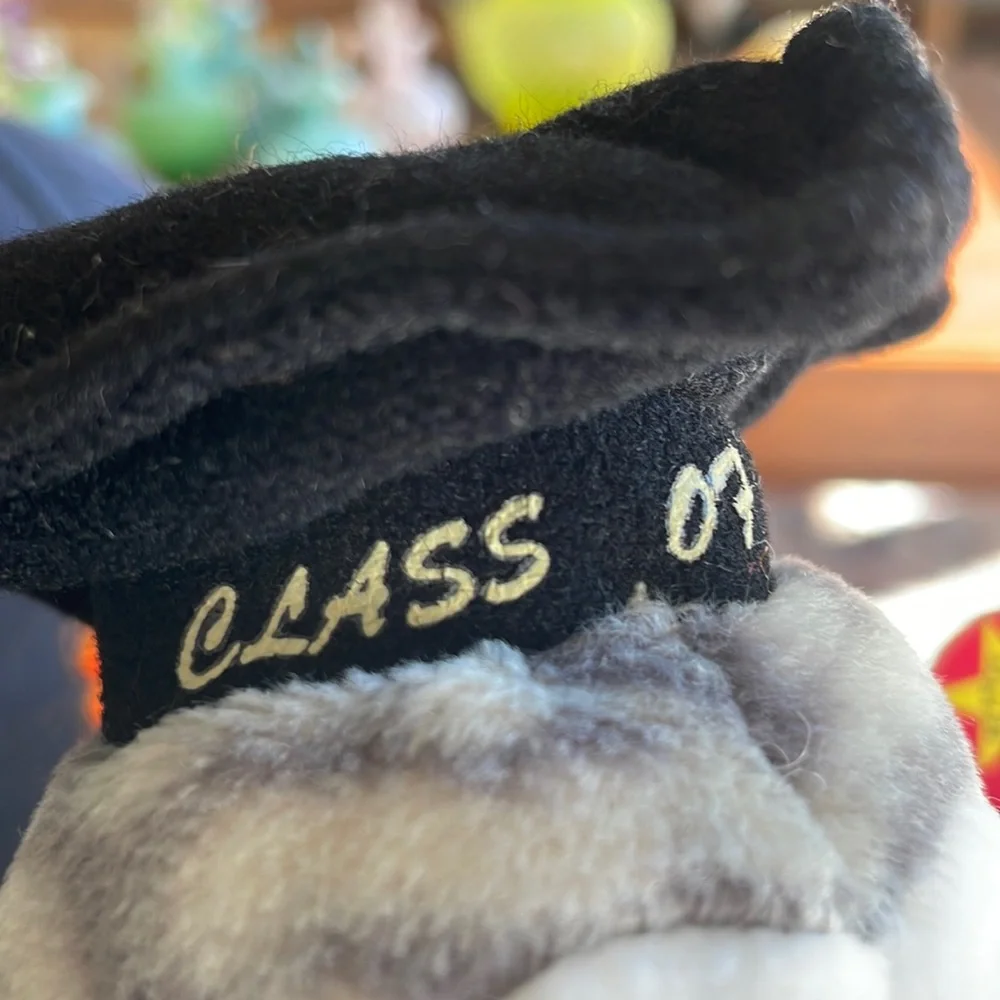 Ty beanie baby Wiser the owl class of 99 - Picture 2 of 9